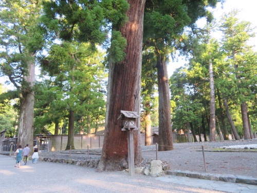 伊勢神宮 外宮